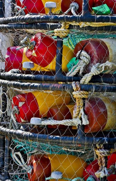 USA, Oregon, Garibaldi Stacked crab pots on dock